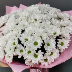 Букет из кустовой хризантемы ромашки (11 шт) (Арт.0051)